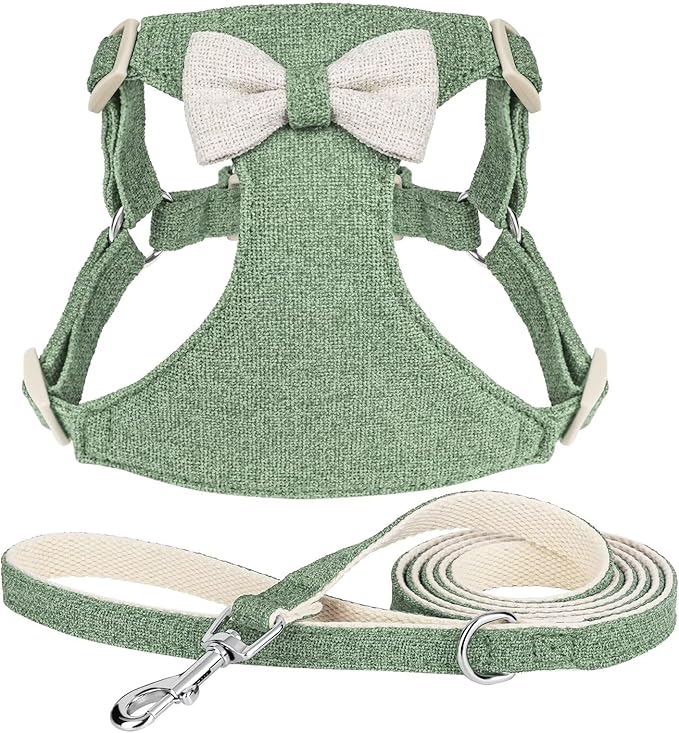 Beirui Small Dog Harness and Leash Set, Soft Lightweight Puppy Harness, Adjustable Bow Tie Puppy Harness for Small Dogs (Green, XS)