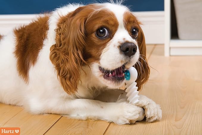 Hartz Chew ‘n Clean Twisty Bone Dog Chew Toy, Bacon Scented for Moderate Chewers, Extra Small (Pack of 2)