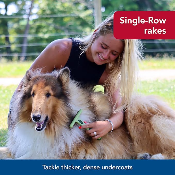Coastal Pet Safari Single Row Undercoat Rake - Gentle Dematting and Deshedding Tool for Dogs, Pet Grooming Comb