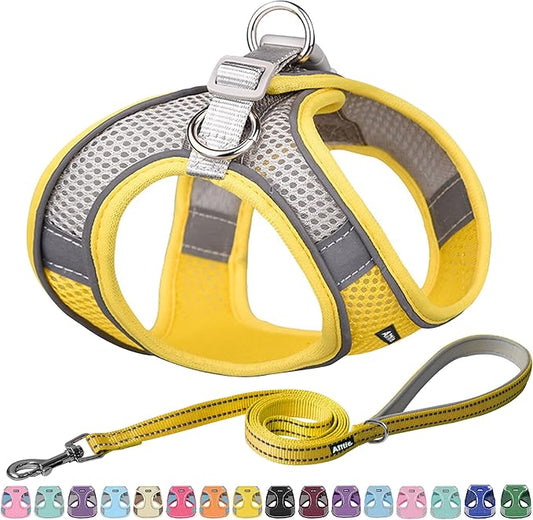 AIITLE Comfortable Dog Harness and Leash Set for Walking - Spring Step in Vest Harness,Reflective Bands, Adjustable No Pull Puppy Essentials, for Small Dogs and House Cats Yellow XS