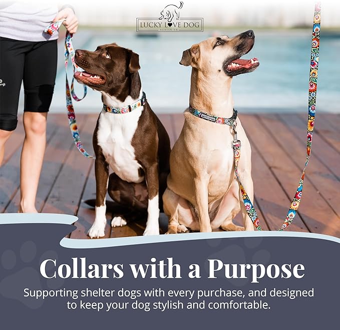 Lucky Love Dog - Adjustable Dog Collar with Easy Click Buckle for Small to Large Dogs, Durable, & Comfortable Collar for Male & Female Dogs, Pet Collar for Puppies & Adult Dogs - Blackbird, Medium