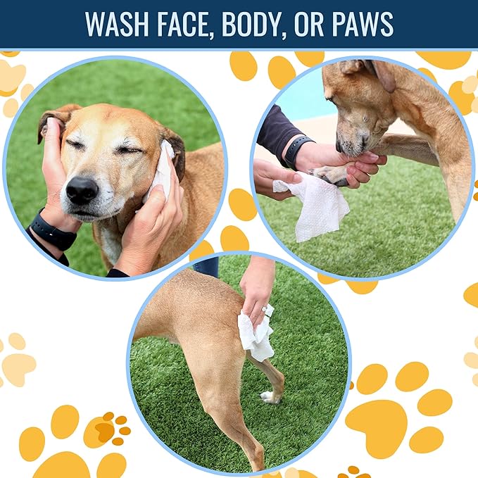 HealthSmart Dog & Cat Grooming Wipes, Alcohol and Paraben Free, Gentle on Skin, 100% Biodegradable, 100 Count, Deodorizing, Great for Paws, Ears, and Butt