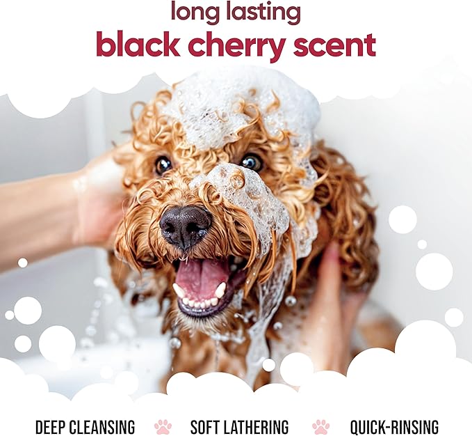 Black Cherry Dog Shampoo by Buddycare | Deep Cleansing Shampoo for Dogs | Black Cherry Scented | with Aloe Vera and Pro Vitamin B5 (33.8oz)