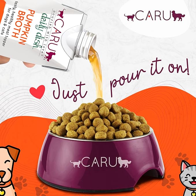 Caru Daily Dish Broth for Dogs & Cats - Pumpkin - Pack of 12