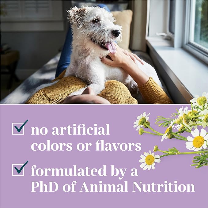 By Purina Calming Dog Supplements Soft Chews - 10.6 oz. Canister