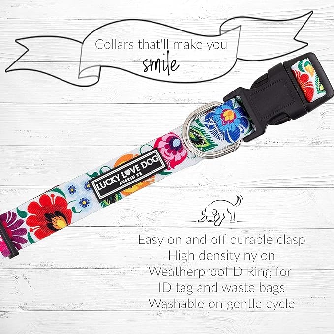 Lucky Love Dog Martingale Collar and Leash Set, Premium No Slip Collar and Leash Set, Vivid Floral Martingale Dog Collar, Great for Whippets, Greyhounds, and More (Ladybird, Medium - Combo)