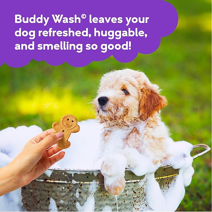 Buddy Grooming Wash 2 in 1 Dog Shampoo, Lavender & Mint, 16 oz. Bottle