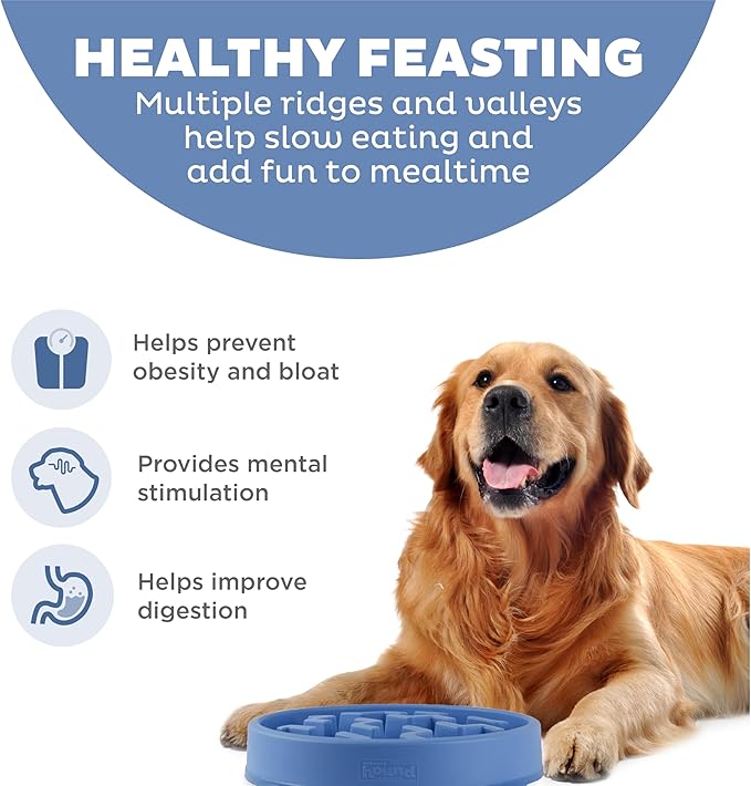 Outward Hound Fun Feeder Slo Bowl, Large Slow Feeder Dog Bowl, 4 Cups, Blue