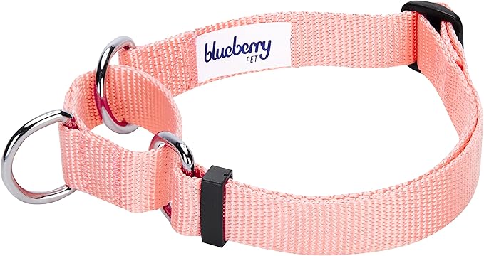 Blueberry Pet Essentials Martingale Safety Training Dog Collar, Baby Pink, Medium, Heavy Duty Nylon Adjustable Collars for Dogs