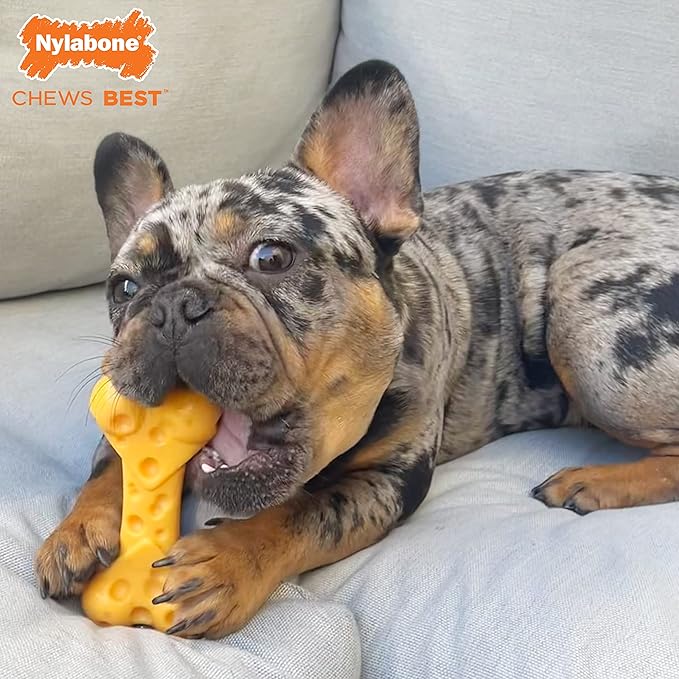Nylabone Power Chew Cheese Bone Dog Chew Toy, Cute Dog Toys for Aggressive Chewers, Cheese Flavor, X-Large/Souper (1 Count)