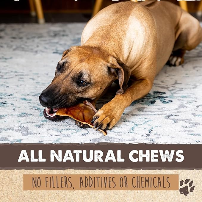Mighty Paw Full Pig Ears for Dogs | All Natural Dog Treats. Single Ingredient Pig Ear Dog Treats. Better Than Rawhide Dog Snacks for Puppy and Large/Medium Dogs. Pigs Ears Dog Chews, Dog Pig Ears