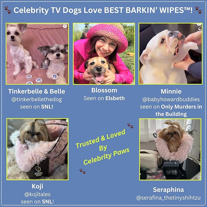 Best BARKIN' Wipes with Free Mesh Bag - Dog Wipes for Paws Ears and Butt - Micellar Aloe Scented Travel Friendly Puppy Wipes (12-Pack)