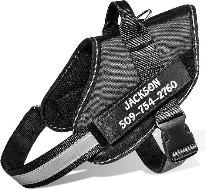 GoTags No-Pull Dog Harness with Custom Name and Phone Number, Personalized for Large, Medium and Small Dogs, Service Vest No Tugging, Pulling, or Choking for Training (Black, XL)