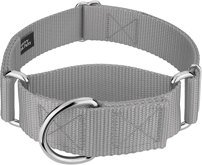 Country Brook Petz 1 1/2 Inch Martingale Heavy Duty Nylon Adjustable Dog Collar for Small, Medium, Large Breeds - Vibrant 17 Color Selection (Silver, Large)