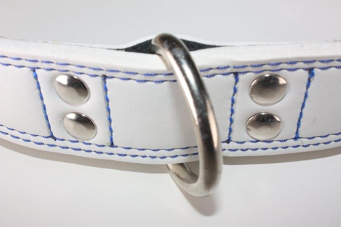 Premium Leather Collars with Stainless Steel Buckles (15"-18", White)