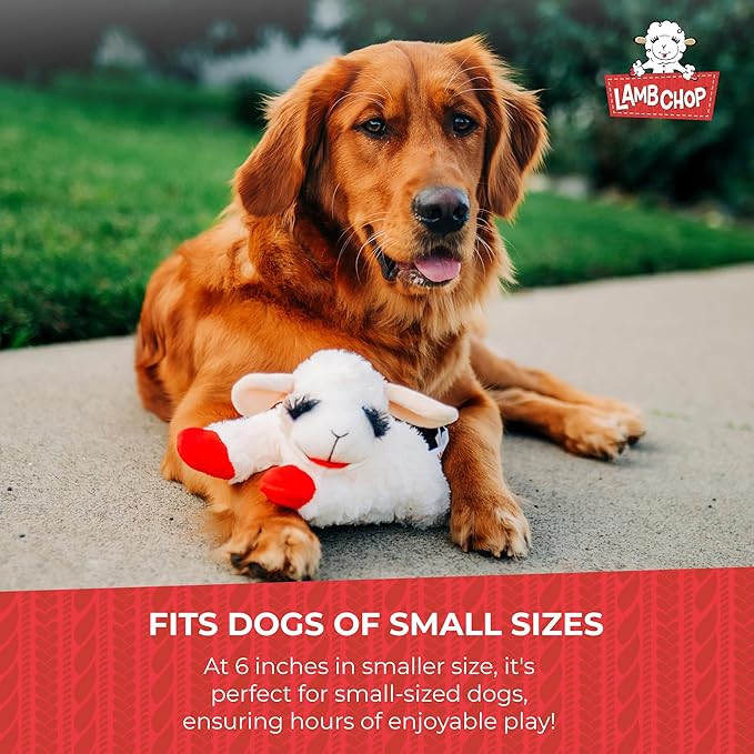 Multipet INTERNATIONAL 843140 Lambchop Plush Squeak Toy Mini for Pets, 6-Inch, White, small