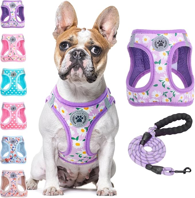 BEAUTYZOO Step in Dog Harness and Leash Set,Floral Pattern Reflective Dog Harness No Pull No Choke Puppy Harness for Small Medium Large Dogs Cats,Soft Padded Mesh Vest Harnesses for Girl and Boy Pets