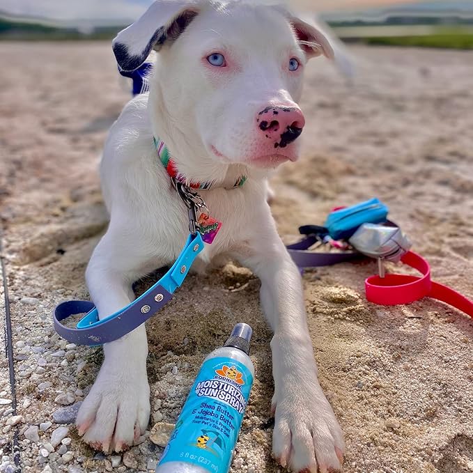 Bodhi Dog Sunscreen Moisturizing Pet Sun Spray - Safe for Dogs, Cats & Horses - Natural Protection for Skin, Coat, Nose, Ears - Hydrating & Non-Toxic - Made in USA (8 Fl Oz)