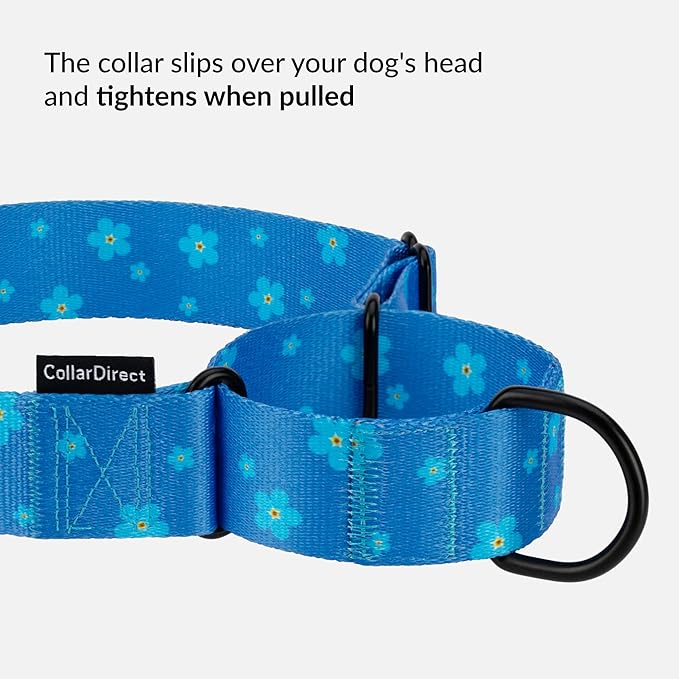 CollarDirect Martingale Collars for Dogs Heavy Duty Floral Pattern Female Safety Nylon Training Wide Collar Flower Design Large Medium (M, Neck Size 12"-17", Navy Blue)