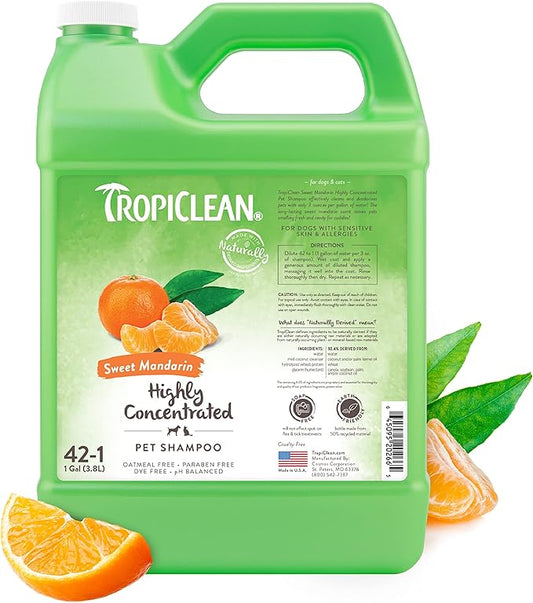 TropiClean High Concentrate Dog Shampoo, Professional Grade & Size for Groomers, 42:1 Dilution, Puppy Safe, USA Made, Sweet Mandarin Scent, 1 Gallon
