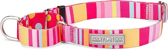 Lucky Love Dog, Colorful Stripes Martingale Dog Collar, Yellow, Pink, Blue Color No Slip Dog Collar - (Small, Molly Martingale)