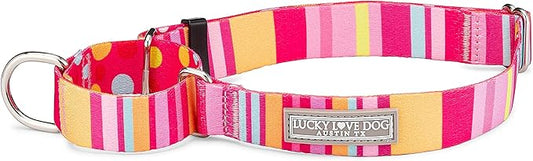 Lucky Love Dog, Colorful Stripes Martingale Dog Collar, Yellow, Pink, Blue Color No Slip Dog Collar - (Small, Molly Martingale)