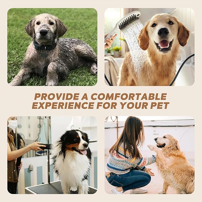 Dog Dryer, Dog Blow Dryer, High Velocity Professional Pet Grooming Vacuum, Dog Hair Dryer with Heater, Stepless Adjustable Speed, 3 Different Nozzles and a Comb for Home, Pet Washing Station, Travel
