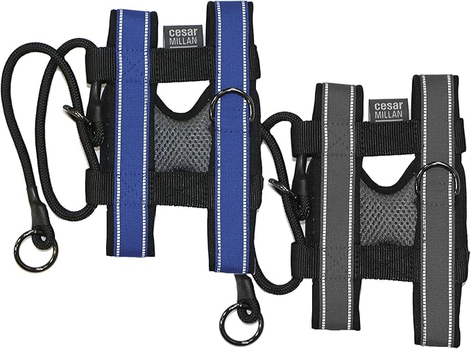 Cesar Millan Pack Leader Collar™ - Training Collar of The Dog Whisperer (Small, Grey)