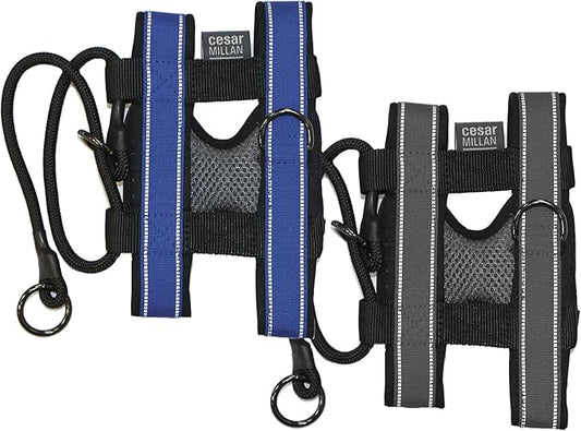 Cesar Millan Pack Leader Collar™ - Training Collar of The Dog Whisperer (Small, Grey)