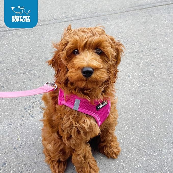 Voyager Step-in Air Dog Harness - All Weather Mesh, Reflective, No Pull Harness for Small, Medium Dogs, Cats - Secure with Hook & Loop Fastener, Buckle, Double D-Rings - Fuchsia, M