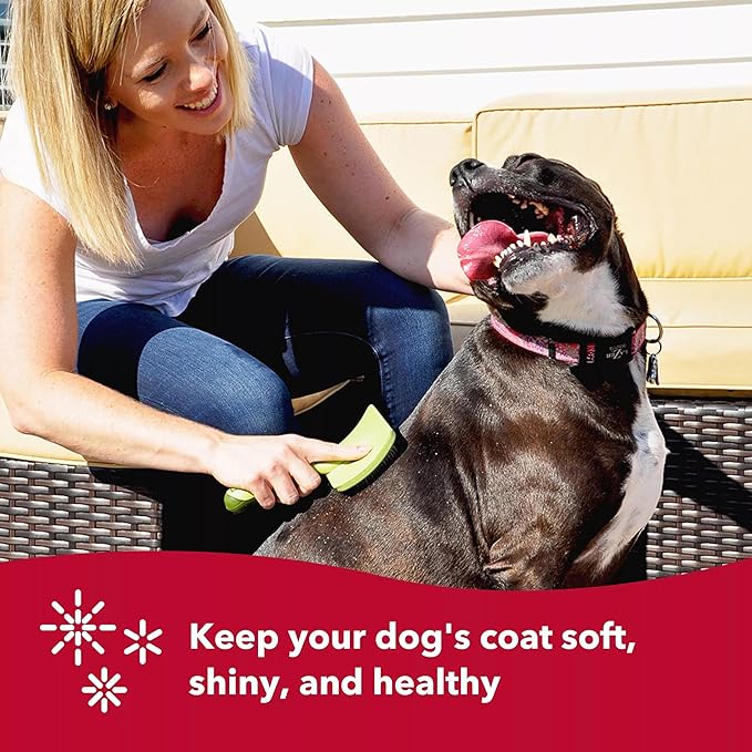 Coastal Dog Slicker Brush, Green - Grooming Brush for Dogs of All Hair Types, Pet Brush for Shedding - Curved Design for Easy Detangling - Non-Slip Handle, 6.75'' x 4.25''