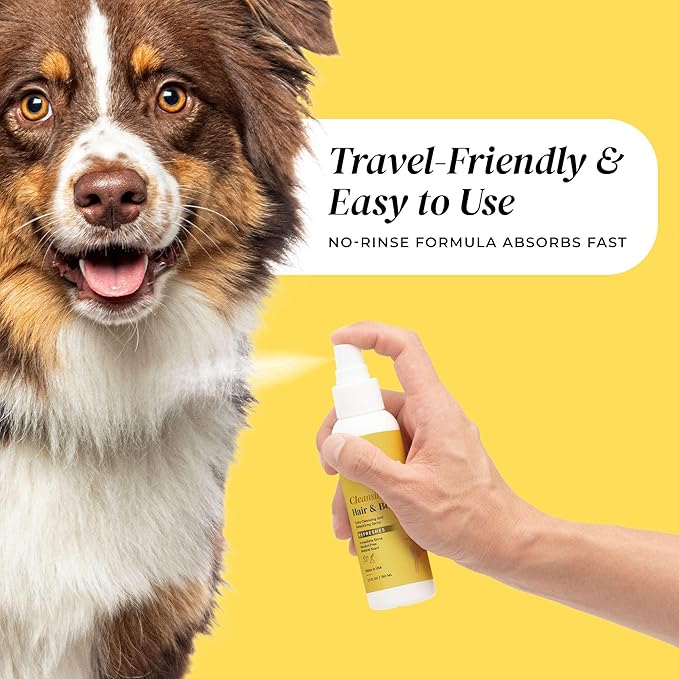 Cleansing Hair and Body Spray for Dogs - 5.1 Fl Oz of Dog Deodorizer, Long Lasting Formula - Everyday Body Spray with Aloe, Lemongrass Oil, and More - Made in The USA