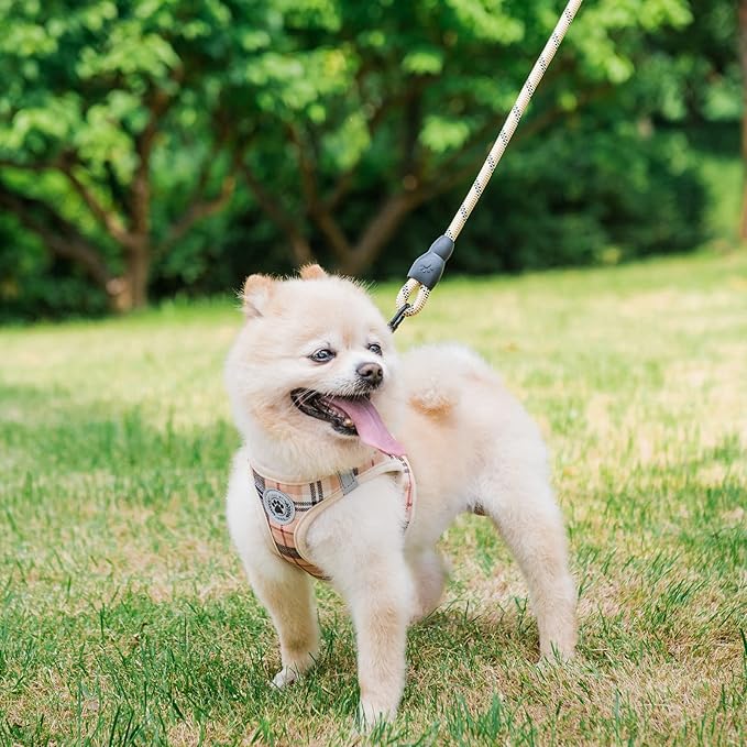 BEAUTYZOO Small Dog Harness and Leash Set,Step in No Chock No Pull Soft Mesh Dog Harnesses Reflective for Extra-Small/Small Medium Puppy Dogs and Cats, Plaid Dog Vest Harness for XS S Pets, Beige XS