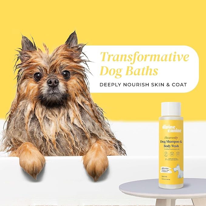 Heavenly Dog Shampoo & Body Wash - Anti-Itch - Dog Shampoos - pH Balanced Conditioning Dog Bath Blend with Collagen, Aloe, Coconut Milk, Vitamin E - Soothe Itchy Skin & Coat - 13.5oz