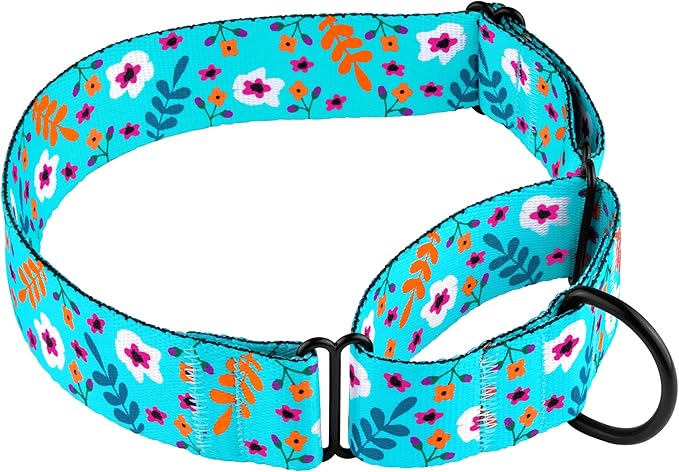 CollarDirect Martingale Collars for Dogs Heavy Duty Floral Pattern Female Safety Nylon Training Wide Collar Flower Design Large Medium (XL, Neck Size 19"-24", Aquamarine)