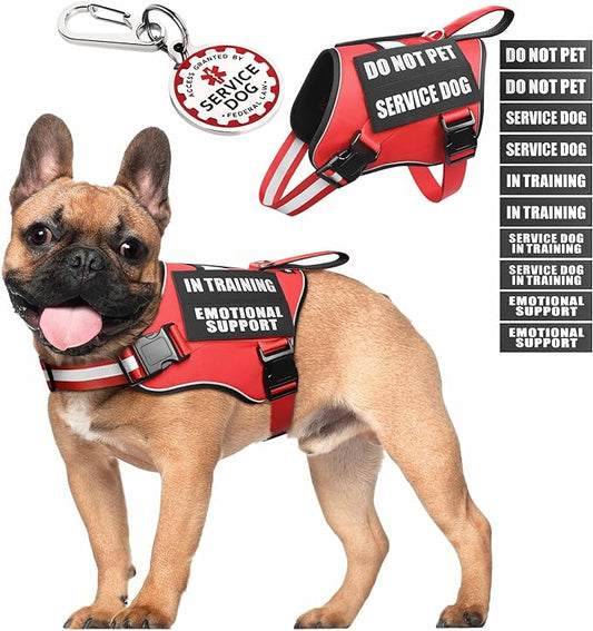 Service Dog Vest Harness+ID Tag+10 Patches,Metal Serivce Dog Tag&Reflective Emotional Support Dog Vest with Handle for Small Dogs,Easy Put On/Off for Training/Walking/Everyday Red S