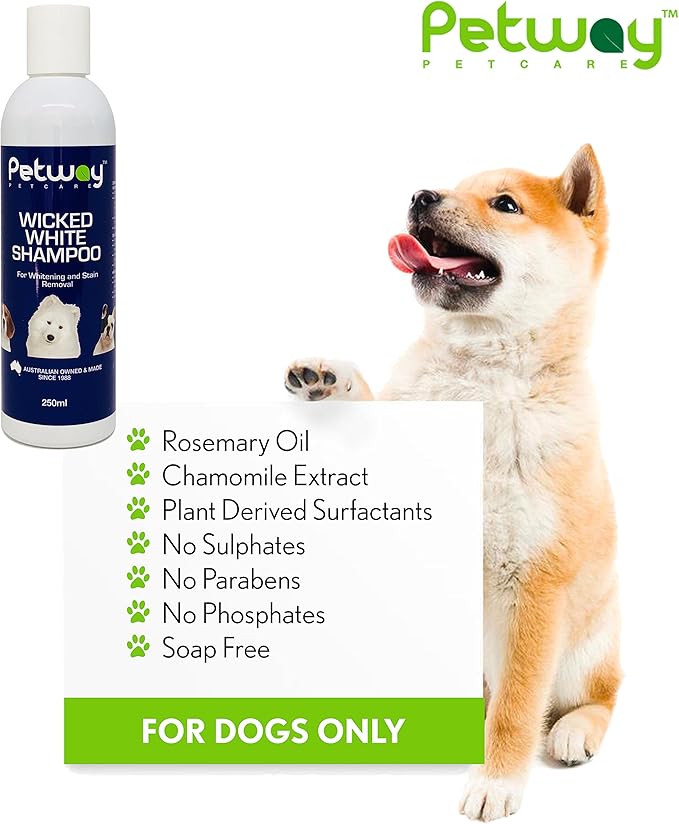 Petcare Wicked White Whitening & Stain Removal Shampoo for Dogs with White Coat, Deep Cleanse to The Coat & Skin, Free of Phosphates & Parabens, pH Balanced, Removes Dirt & Odor, 250ml