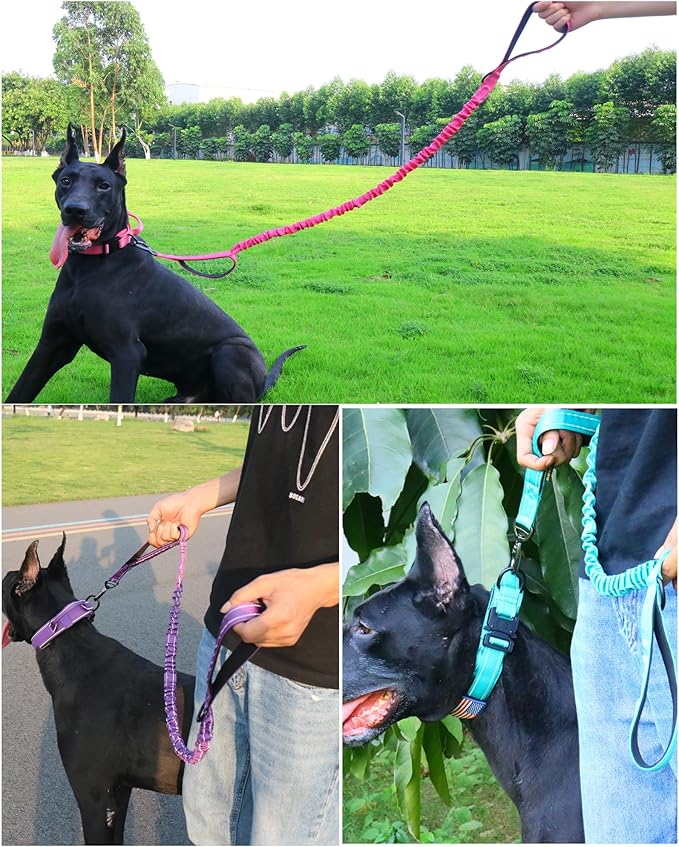 AUBELL Tactical Dog Collar and Leash Set, Adjustable Military Nylon Reflective Dog Leash and Collar with Handle and Heavy Metal Buckle for Medium Large Dogs, with Airtag Holder and 2 Patches(Pink, M)