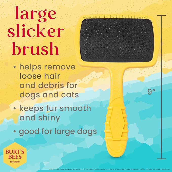 Burt’s Bees for Pets Large Slicker Brush for Dogs with Thick or Curly Hair with Handle Made from Recycled Plastics Collected from Coastal Communities | De-Shedding Dog Brush Removes Knots and Matting