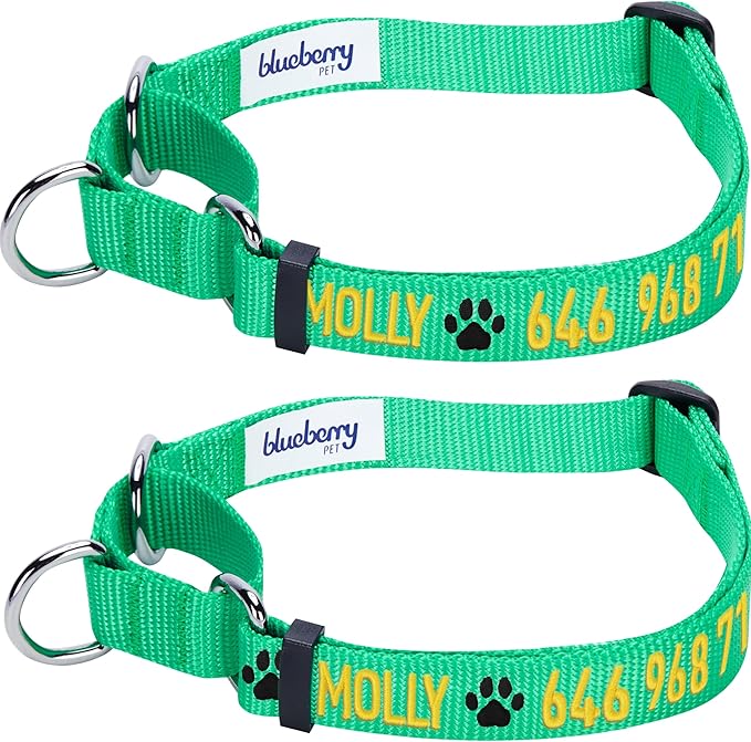 Blueberry Pet Essentials Personalized Martingale Safety Training Dog Collar, Emerald, Small, Adjustable Customized ID Collars for Dogs Embroidered with Pet Name & Phone Number
