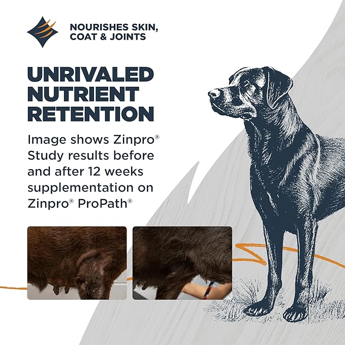 Blackwood Sensitive Skin & Stomach Dry Dog Food, Lamb Meal & Brown Rice with Ancient Grains, 4.5 Pound Bag with Prebiotics & Probiotics to Promote Gut Health