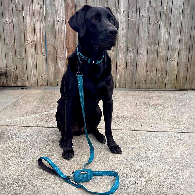 Voyager Reflective Dog Leash Collar Set with Neoprene Handle Supports Small, Medium, and Large Breed Puppies, Cute and Heavy Duty for Walking, Running, and Training - Turquoise, L