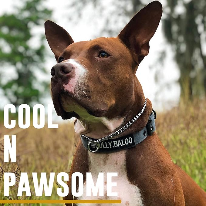 OneTigris Military Adjustable Dog Collar with Metal D Ring & Buckle 2 Sizes (L, Grey)