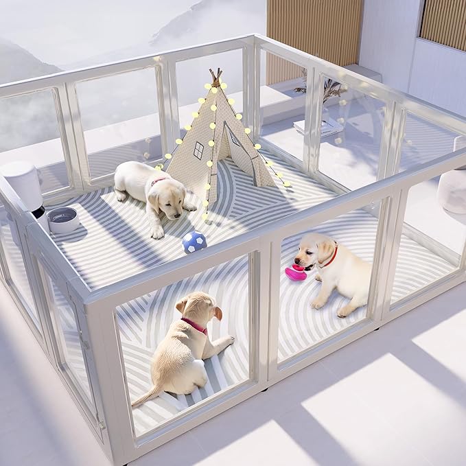 Clear Acrylic Plastic Dog Playpen Indoor,for Puppy Cat Rabbit Ferret Transparent Pet Pen,Easy Assemble Enclosure,Preferable for Small Dogs (12 Panels (White))