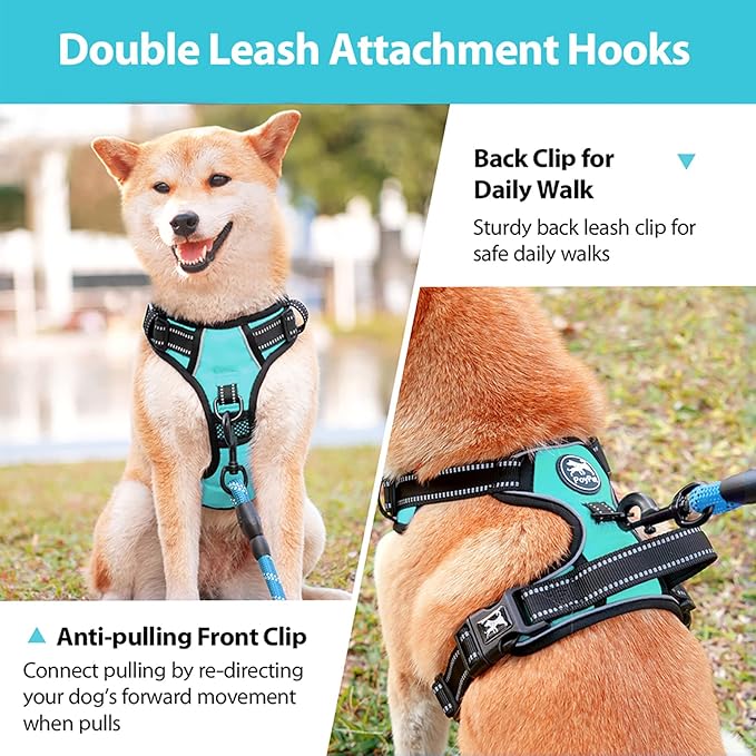 PoyPet No Pull Dog Harness, No Choke Front Clip Dog Reflective Harness, Adjustable Soft Padded Pet Vest with Easy Control Handle for Small to Large Dogs(Mint Blue,M)