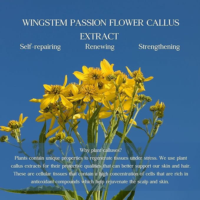 Deep Cleansing Botanic Cellcare Shampoo 500ml, 16.90 fl oz | Sulfate-Free, Paraben-Free and Color-Safe | pH Balancing