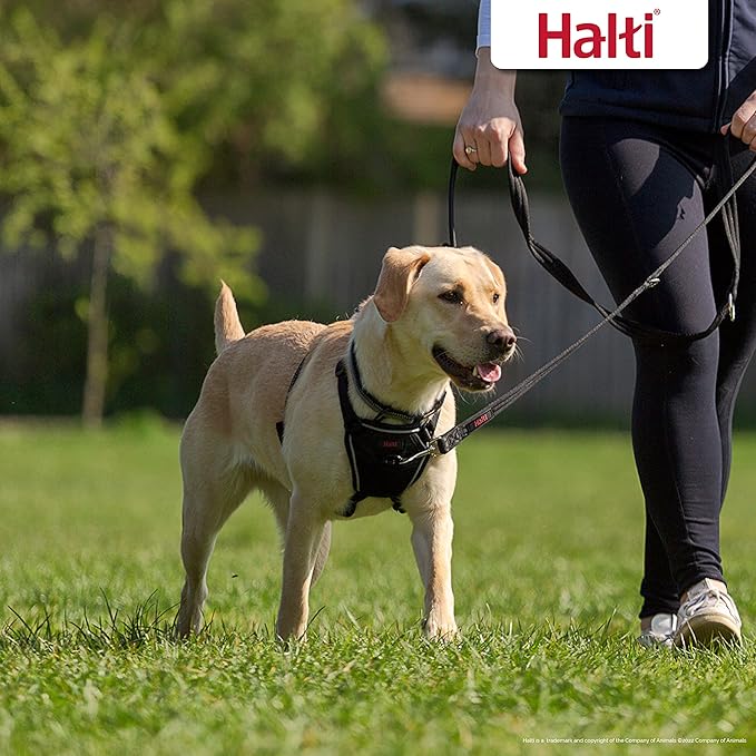 HALTI No Pull Harness - To Stop Your Dog Pulling on the Leash. Adjustable, Lightweight and Easy to Use. Reflective Dog Training Harness for Medium Dogs (Size M)