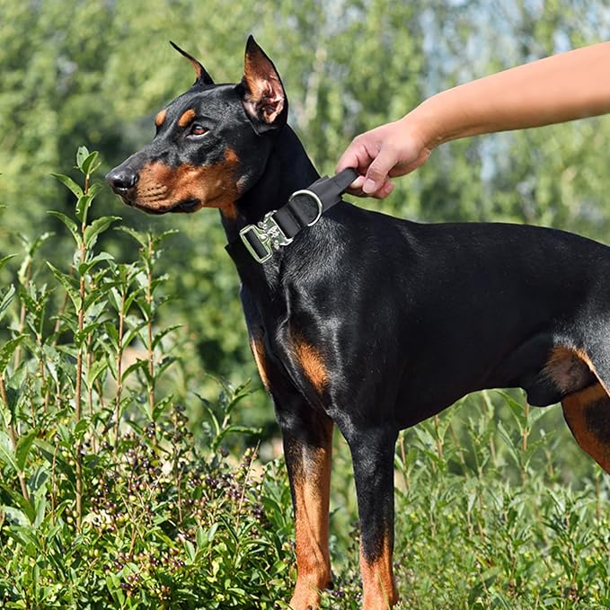 Tactical Military Dog Collar, Strong Heavy Duty Dog Collar, Wide Thick Dog Collar with Handle, Soft Neoprene Padded Collar with Quick Release Metal Buckle for Medium Large Dogs (Black, M)