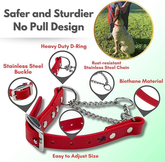 Martingale Collar for Dogs, Biothane, Stainless Steel Hardware, No Pull, Made in The USA, Professional Grade, Small, Red