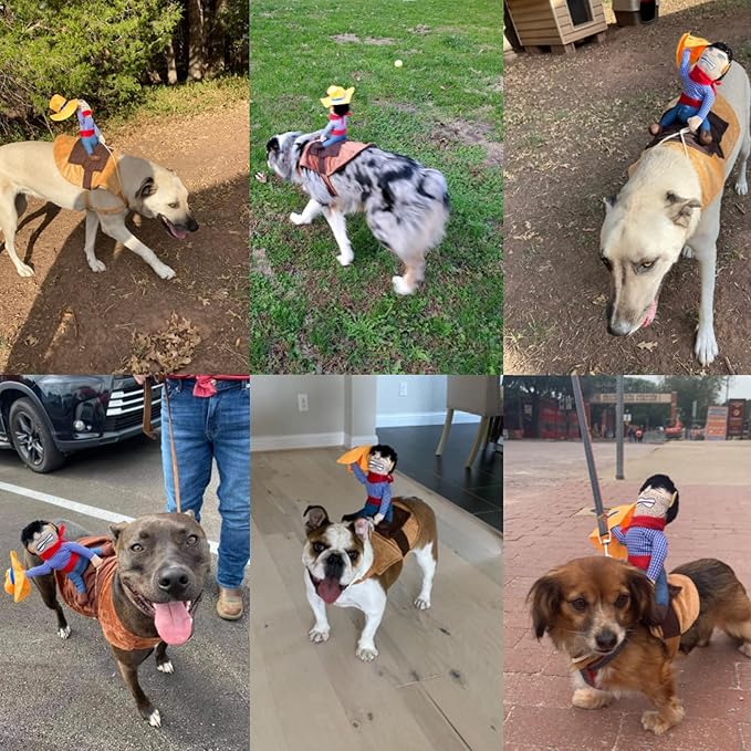 Cowboy Rider Dog Costume for Dogs Outfit Knight Style with Doll and Hat Pet Costume (M)
